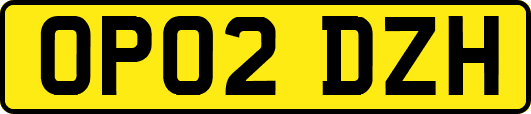 OP02DZH