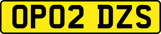 OP02DZS