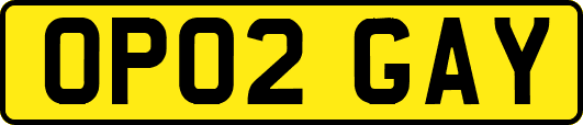OP02GAY