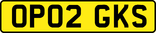 OP02GKS