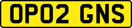 OP02GNS