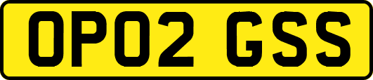 OP02GSS