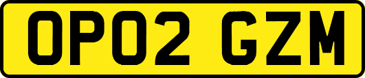 OP02GZM