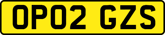 OP02GZS