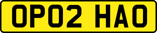 OP02HAO
