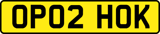 OP02HOK