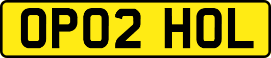 OP02HOL