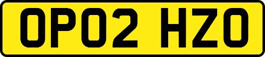 OP02HZO