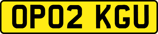 OP02KGU