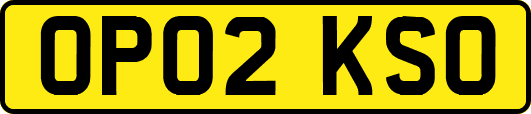 OP02KSO