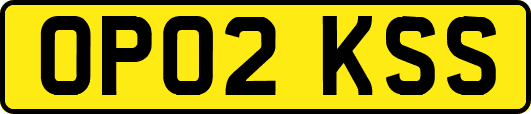 OP02KSS