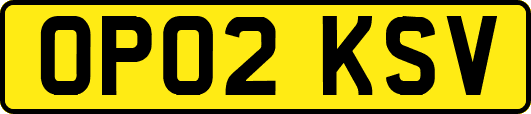 OP02KSV