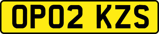 OP02KZS