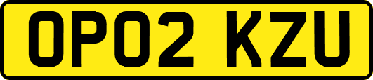 OP02KZU