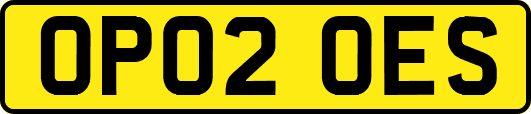 OP02OES