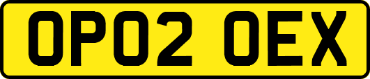OP02OEX