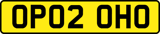 OP02OHO
