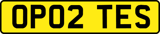 OP02TES