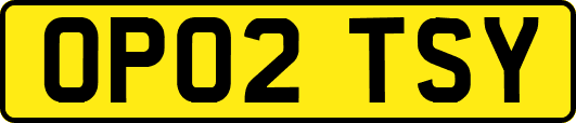 OP02TSY