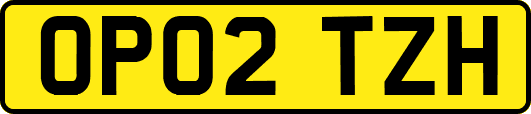 OP02TZH
