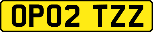 OP02TZZ