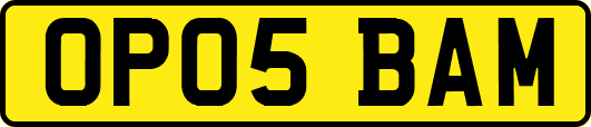 OP05BAM