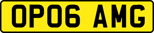 OP06AMG