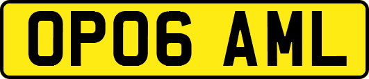 OP06AML