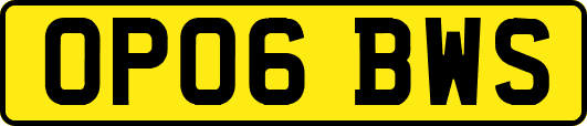 OP06BWS