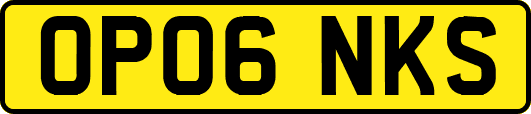 OP06NKS