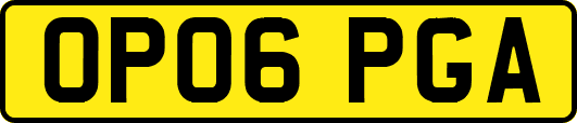 OP06PGA