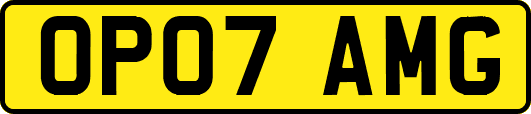 OP07AMG