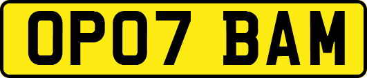 OP07BAM