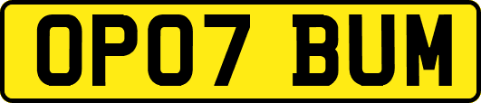OP07BUM