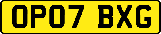 OP07BXG