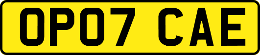 OP07CAE