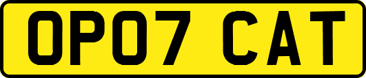 OP07CAT