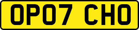 OP07CHO