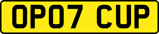 OP07CUP