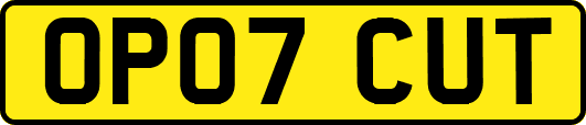 OP07CUT