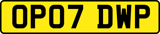 OP07DWP