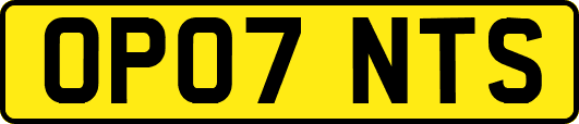 OP07NTS