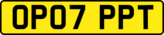 OP07PPT