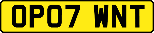 OP07WNT