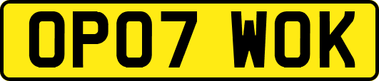 OP07WOK