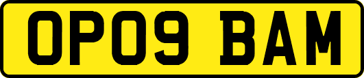 OP09BAM
