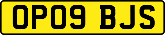 OP09BJS