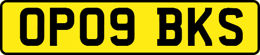 OP09BKS