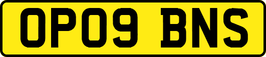 OP09BNS
