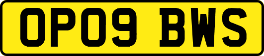 OP09BWS